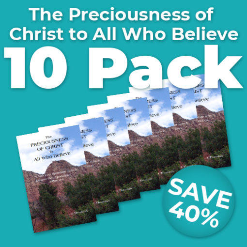 The Preciousness of Christ to All Who Believe Wholesale
