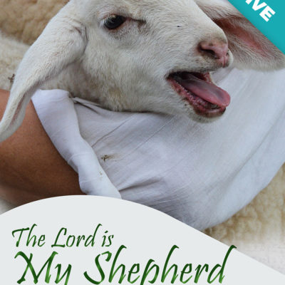 The Lord is My Shepherd