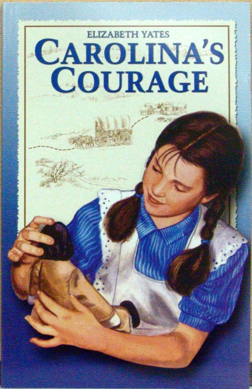 Carolinas-Courage-FC
