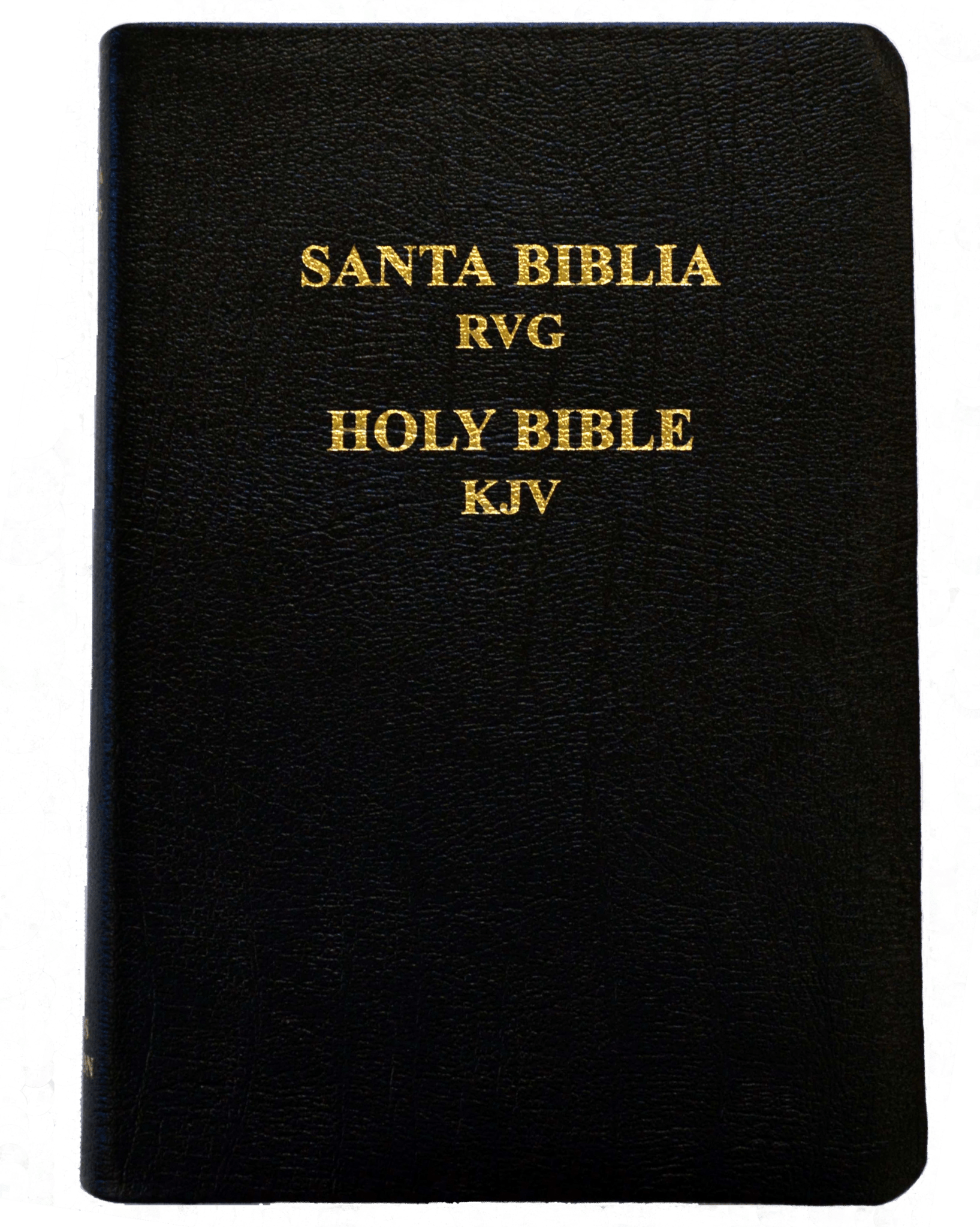 spanish english kjv bible