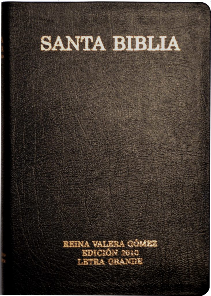RVG 2010 Large Print Spanish Bible | Victory Baptist Press
