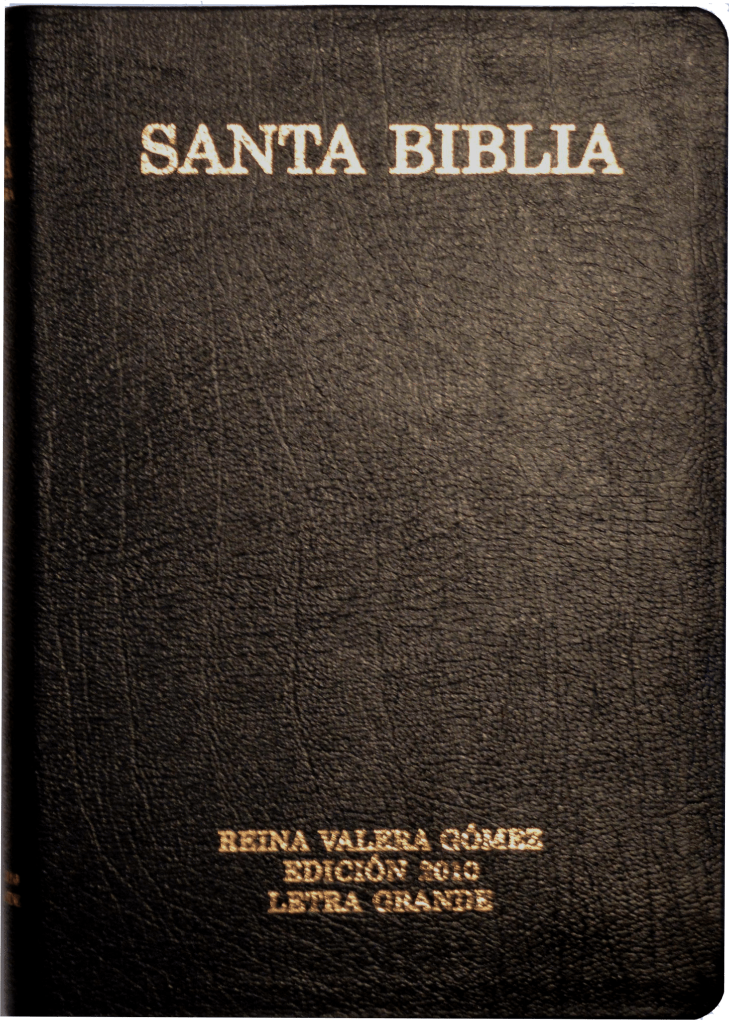 rvg-2010-large-print-spanish-bible-victory-baptist-press