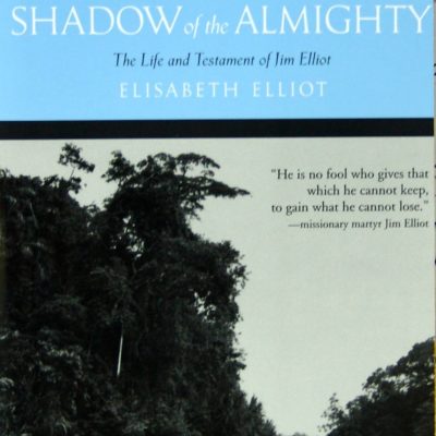 Shadow of the Almighty