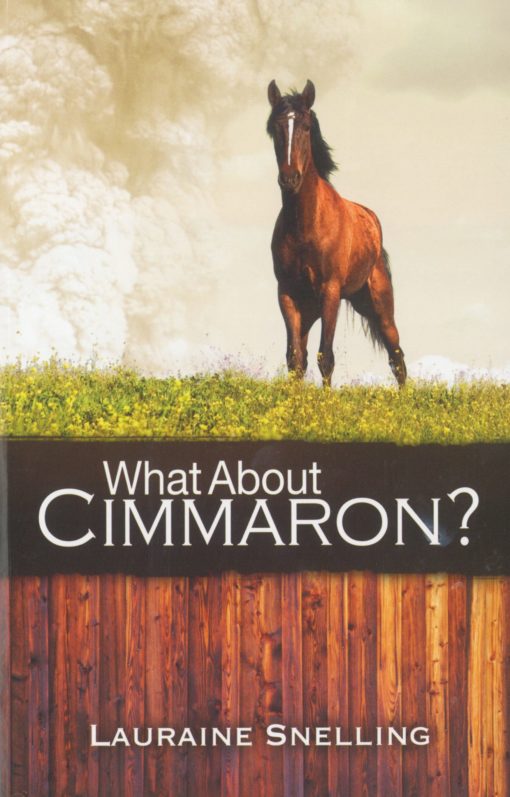 what_about_cimmaron