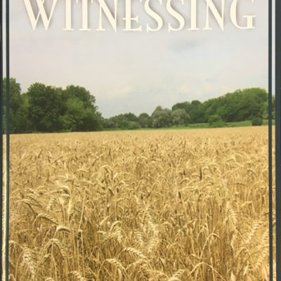 Biblical Course on Witnessing Book Cover