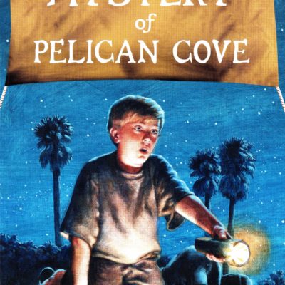 The Mystery of Pelican Cove