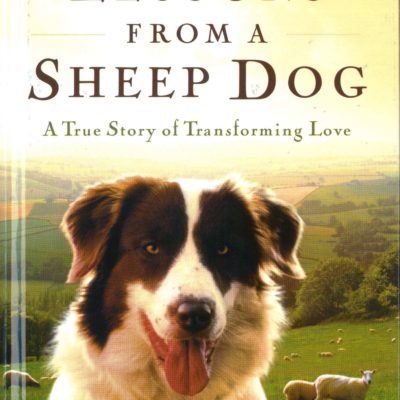 Lessons From a Sheep Dog