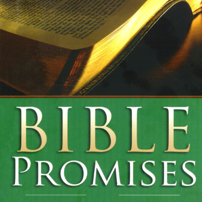 Bible Promises For Bible Believers